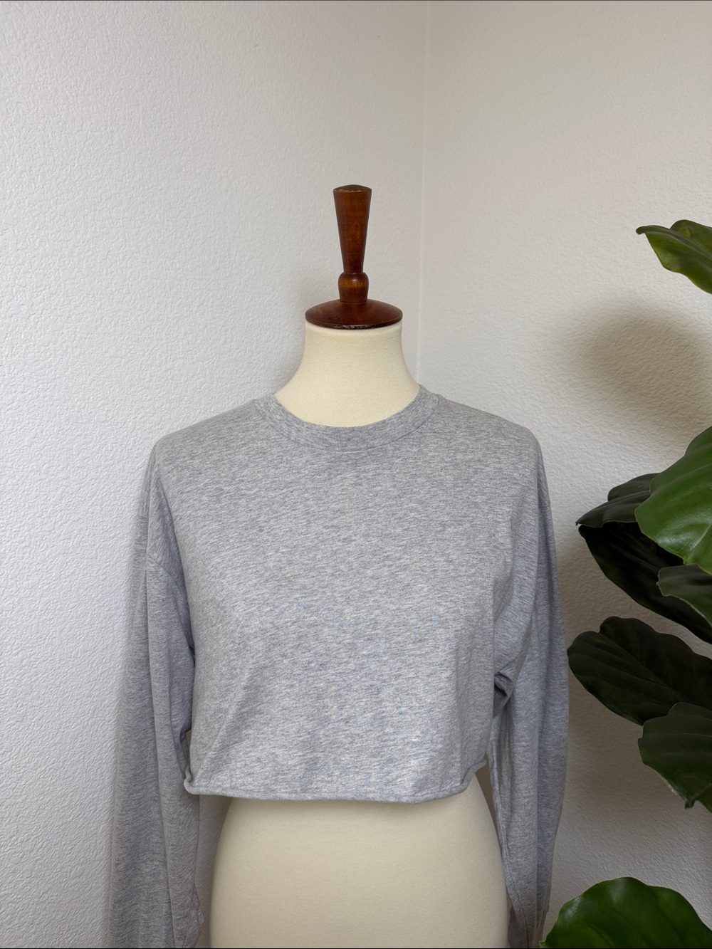Aritzia Light Gray Long-Sleeve Cropped Tee